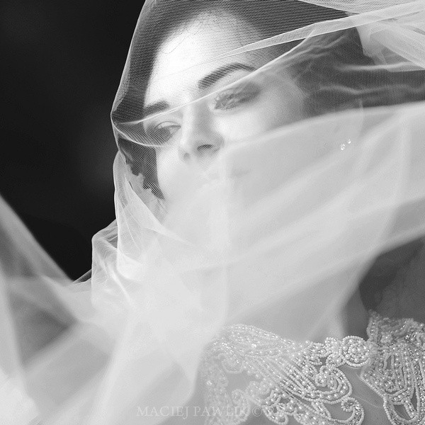 fotograf ślubny Poznań