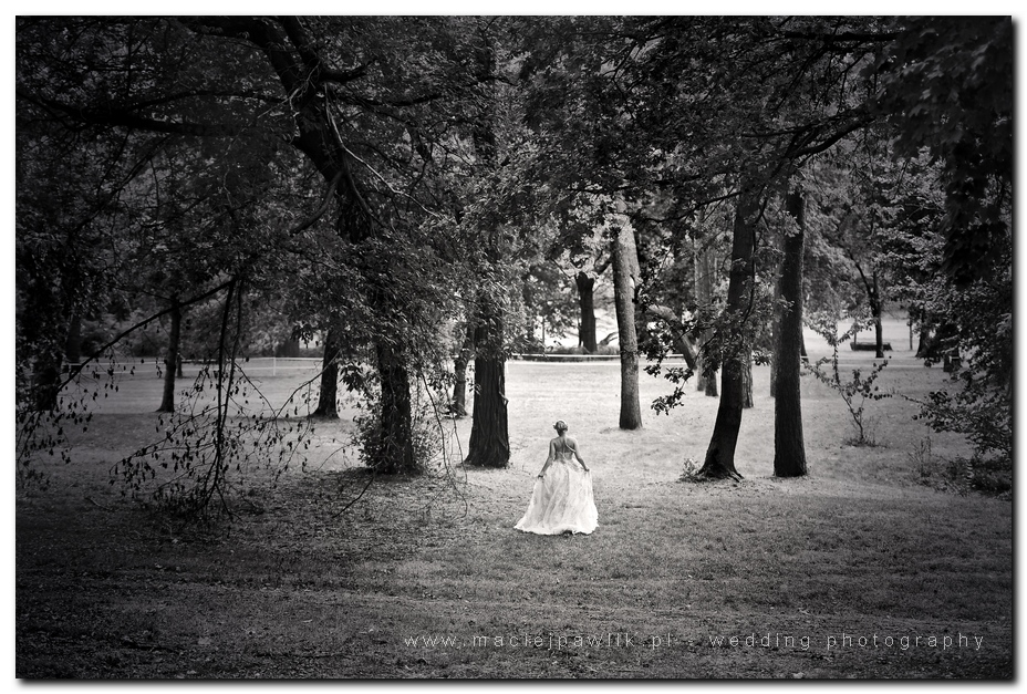 zdjęcia ślubne  