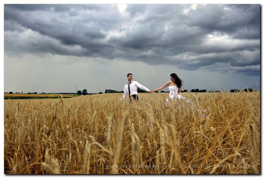 zdjęcia ślubne